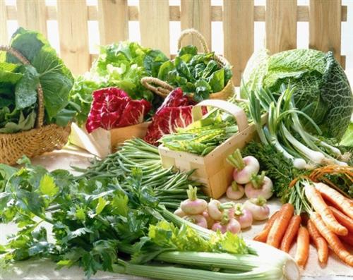 Cách lựa chọn rau quả ít “độc tố” trong mùa lạnh